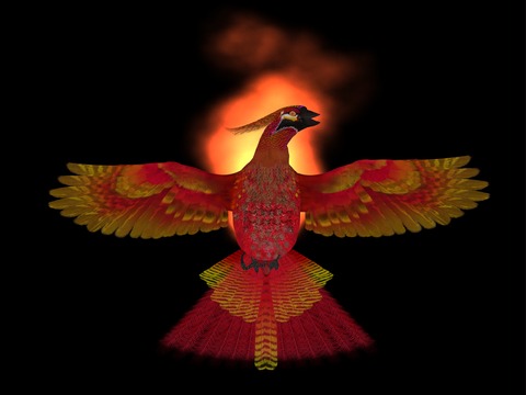 The Phoenix – Rebirth and Renewal