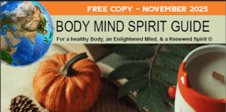 2025 11 NOVEMBER Issue of the Guide