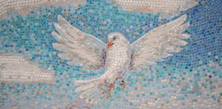 The Pulse of Peace: Awakening the Power of Life