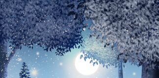 Rest Is Productive: Lessons from Mother Nature