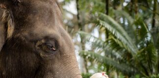 FINDING AND LEARNING THE PATHWAY TO RIGHTEOUSNESS