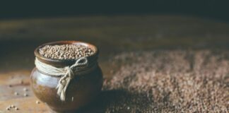 Winter Whole Grain Kasha