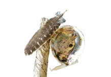 The Science of Smudging: Can Sage Really Clean the Air?