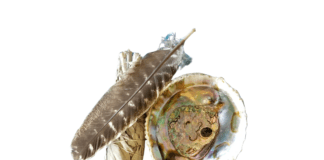 The Science of Smudging: Can Sage Really Clean the Air?