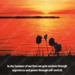 Photo Ponderings – Summer Wisdom