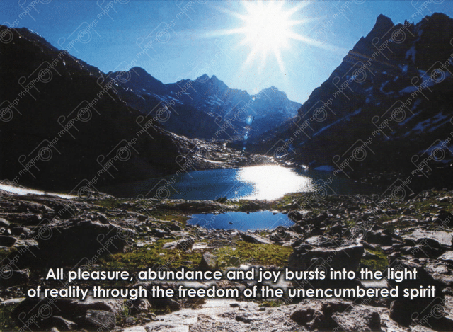 Photo Ponderings – Free Spirit