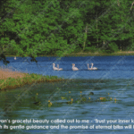 Photo Ponderings – Trust Your Inner Knowing