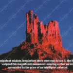 Photo Ponderings – Universal Intelligence