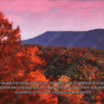 Photo Ponderings – Possibilities