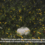 Photo Ponderings – Abundance of Life